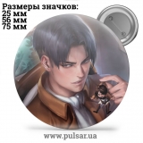 Значок Вторжение Гигантов ( Attack on Titan \ Атака Титанов ) tape 142