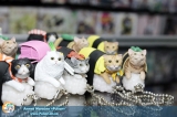 Оригінальні аніме фігурки Neko Zushi Nya-ta - Okimono to Keychain