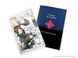 Комплект манги на английском языке «Vampire Knight Complete Box Set: Includes volumes 1-19 with premiums» 